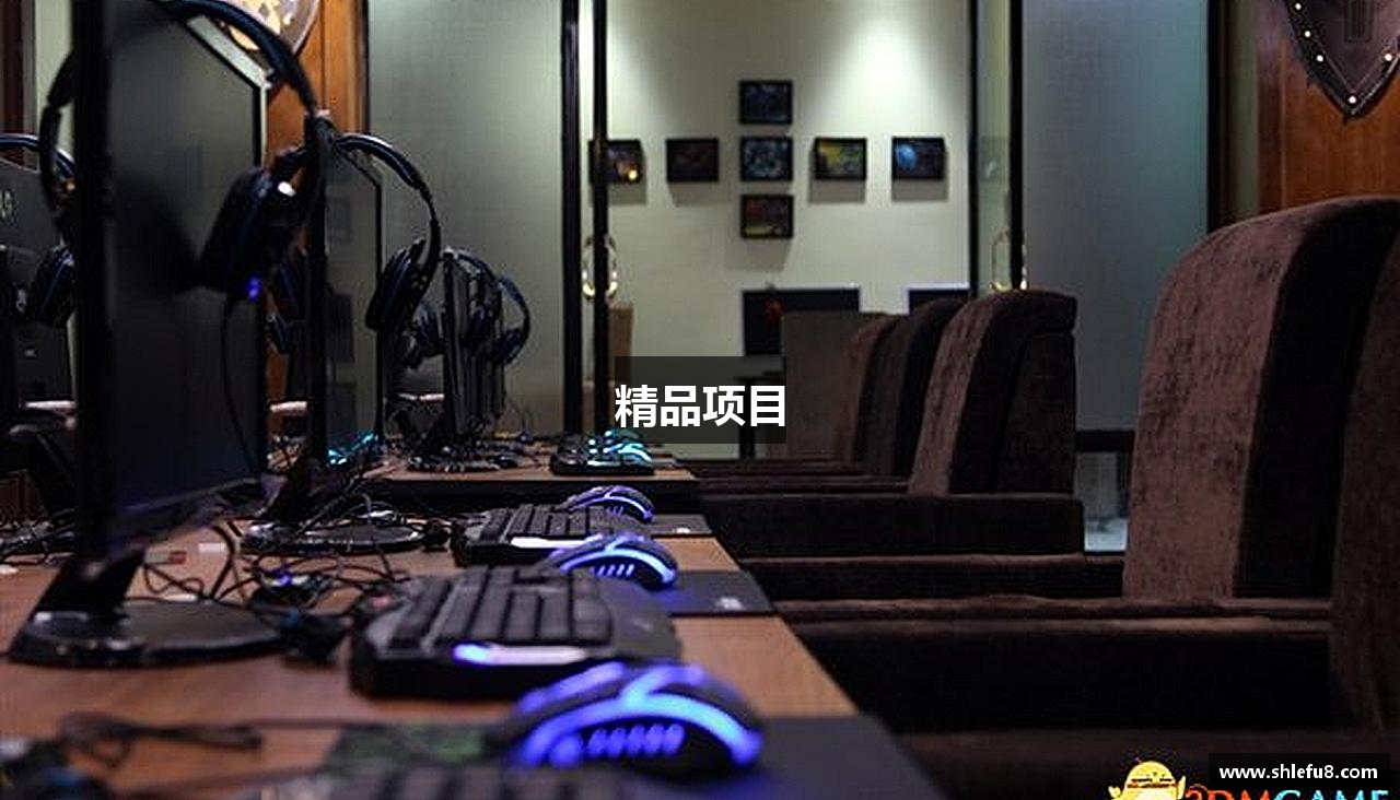精品项目